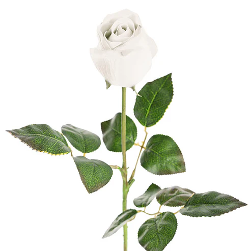 Bella Rose Real Touch Bud White (60cmH)