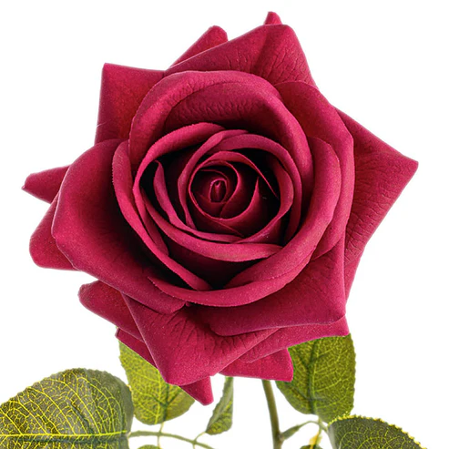 Bella Rose Real Touch Full Bloom Lge Fuchsia (12cmDx65cmH)