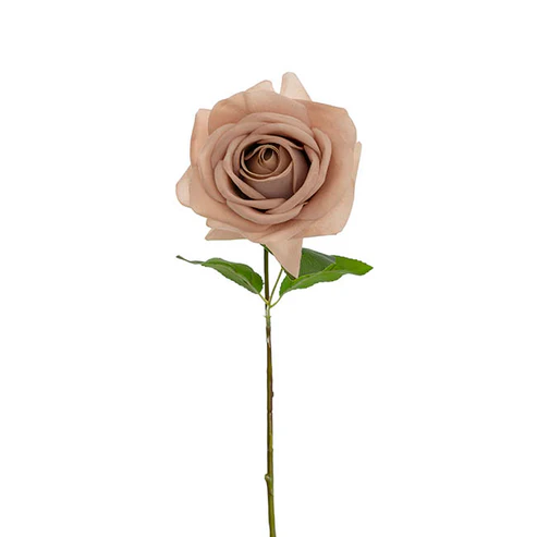 Touch Full Bloom Lge Nude (12cmDx65cmH)