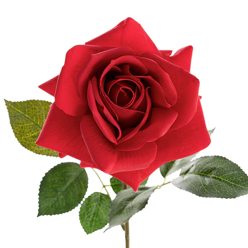 Bella Rose Real Touch Full Bloom Lge Red (12cmDx65cmH)