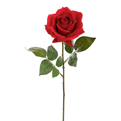 Bella Rose Real Touch Full Bloom Lge Red (12cmDx65cmH)