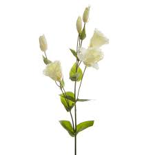 Lisianthus Spray Cream (89cmH) (low in stock)