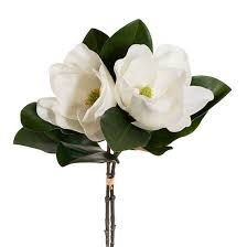 Real Touch Magnolia 2 Stem Bunch White (60cmH)