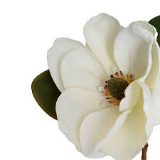 Magnolia Flower Stem White (52cmH)