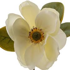 Magnolia Flower Stem White (52cmH)