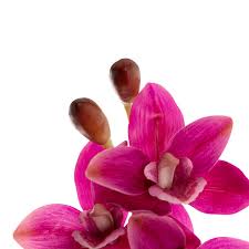 Cymbidium Orchid Real Touch 9 Head Rouge Pink (76cmH)