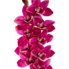Cymbidium Orchid Real Touch 9 Head Rouge Pink (76cmH)