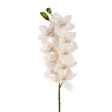 Cymbidium Orchid Real Touch 9 Head White (76cmH)