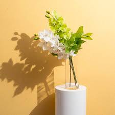 Cymbidium Orchid Real Touch 9 Head White (76cmH)