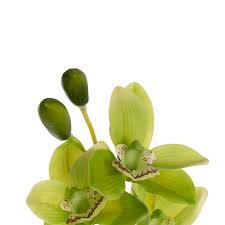 Cymbidium Orchid Real Touch 9 Head Soft Green (76cmH)