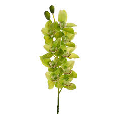 Cymbidium Orchid Real Touch 9 Head Soft Green (76cmH)