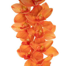 Cymbidium Orchid Real Touch 9 Head Apricot (76cmH)