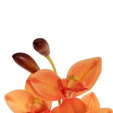 Cymbidium Orchid Real Touch 9 Head Apricot (76cmH)