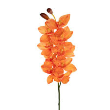 Cymbidium Orchid Real Touch 9 Head Apricot (76cmH)