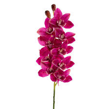 Cymbidium Orchid Real Touch 9 Head Magenta (76cmH)