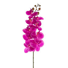 Phalaenopsis Orchid Stem Real Touch 9 Head Magenta (81cmH)