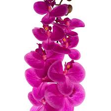 Phalaenopsis Orchid Stem Real Touch 9 Head Magenta (81cmH)