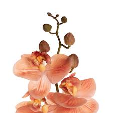Phalaenopsis Orchid Stem Real Touch 9 Head Vermilion(81cmH)