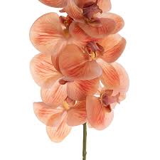 Phalaenopsis Orchid Stem Real Touch 9 Head Vermilion(81cmH)