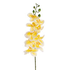Phalaenopsis Orchid Stem Real Touch 9 Head Yellow (81cmH)