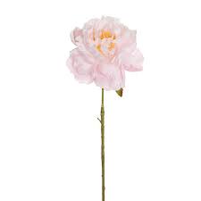 Soft Pink Peony Single Stem – 67cm