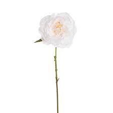 White Peony Single Stem – 67cm