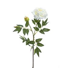 Evelyn Peony Spray – Champagne 70cm
