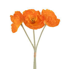 Large Poppy 3 Stem Bunch Orange