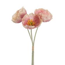 Large Poppy 3 Stem Bunch Blush Pink
