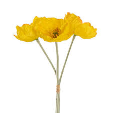 Large Poppy 3 Stem Bunch Yellow