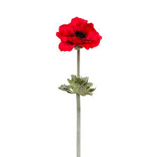 Poppy Flanders with Black Centre (55cmH) Red