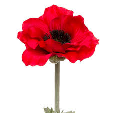 Poppy Flanders with Black Centre (55cmH) Red