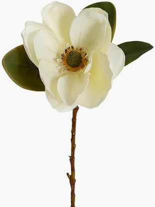 Magnolia Flower Stem White (52cmH)