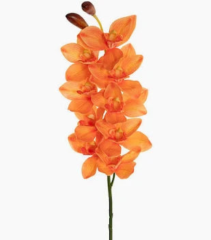 Cymbidium Orchid Real Touch 9 Head Apricot (76cmH)